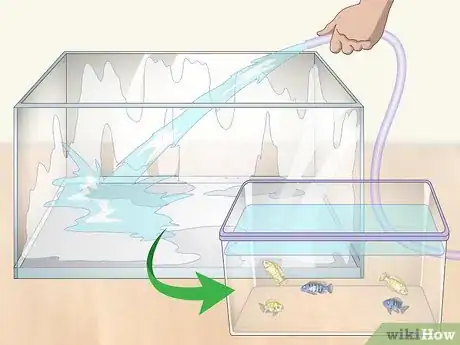 Image titled Remove Fish from an Aquarium to Clean Step 2
