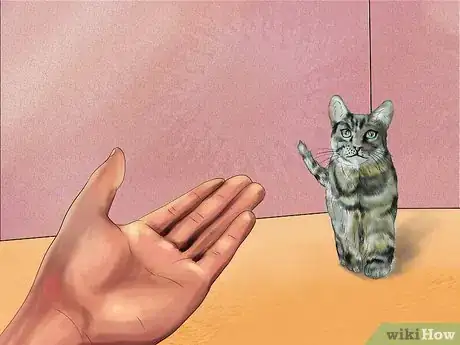 Image titled Assess a Cat's Personality Step 7