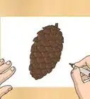 Draw a Pinecone