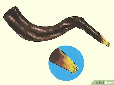 Image titled Make a Shofar Step 7