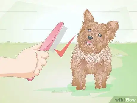 Image titled Brush Your Dog Step 19