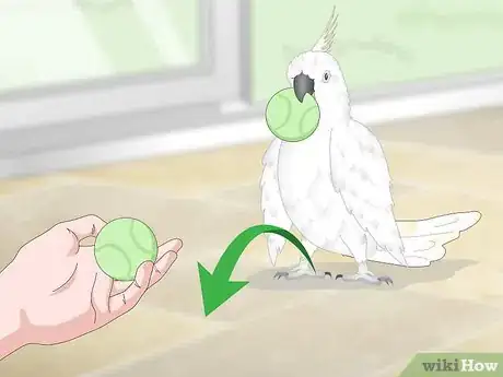 Image titled Take Care of Cockatoos Step 16