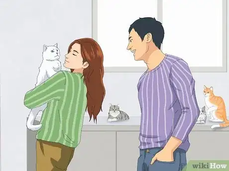 Image titled Get a Cat for a Pet Step 13