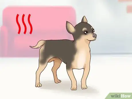 Image titled Wash a Chihuahua Step 11