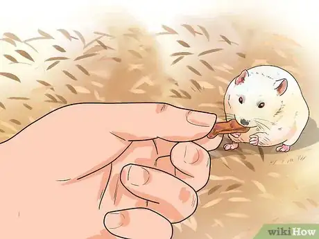 Image titled Make Dwarf Hamsters Stop Biting the Cage Step 6