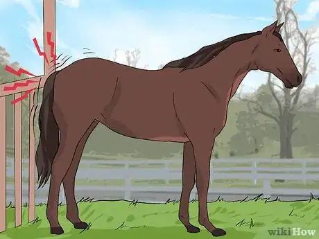 Image titled Clean a Mare's Female Parts Step 1