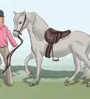 Play with Your Breyer Horse