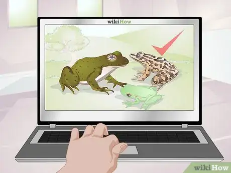 Image titled Raise Frogs Step 16