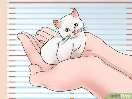 Image titled Pet a Kitten Step 8