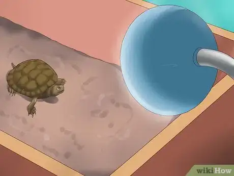 Image titled Make a Turtle Trap Step 13