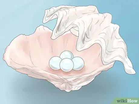 Image titled Buy Pearls Step 1