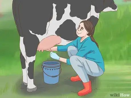 Image titled Milk a Cow Step 8