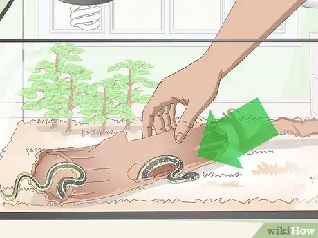 Image titled Tame Snakes Step 16