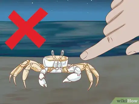 Image titled Catch a Ghost Crab Step 10