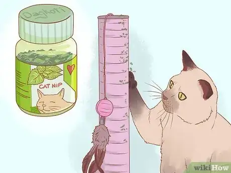 Image titled Get an Overweight Senior Cat to Lose Weight Step 8