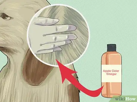 Image titled Make a Natural Flea and Tick Remedy with Apple Cider Vinegar Step 3