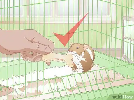 Image titled Make Hamster Chew Sticks Step 14