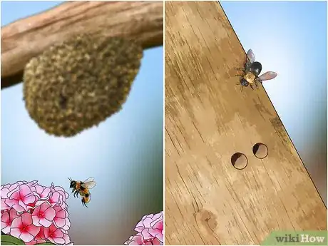 Image titled Get Rid of Bees Step 4