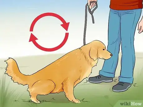 Image titled Get Your Dog to Pee on Command Step 11