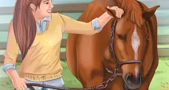Get Your Horse to Trust and Respect You