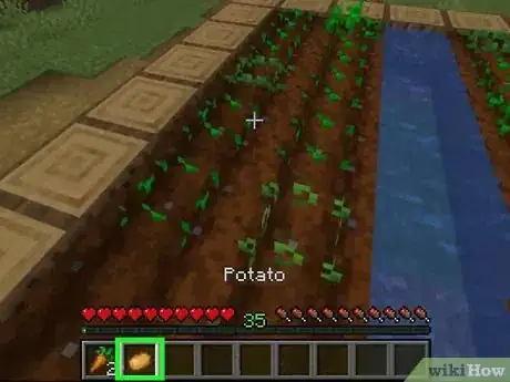 Image titled Find Food in Minecraft Step 2