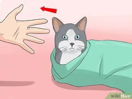 Image titled Give Your Cat Nose Drops Step 17