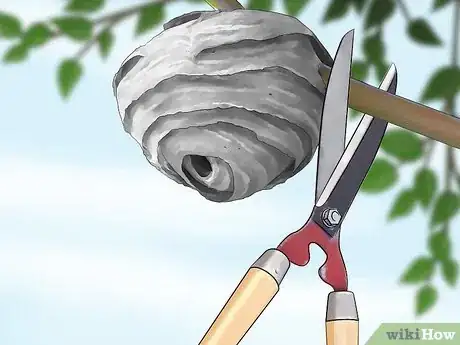 Image titled Kill a Hornet Nest Step 19