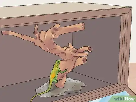 Image titled Build a Reptile Cage Step 11