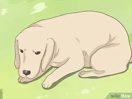 Image titled Discourage a Dog From Biting Step 7