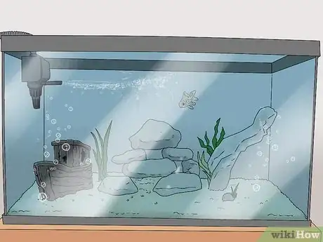 Image titled Set up a Healthy Goldfish Aquarium Step 15