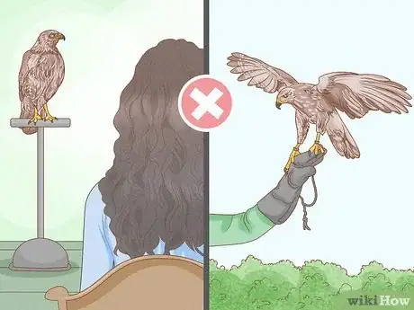 Image titled Catch a Hawk Step 9