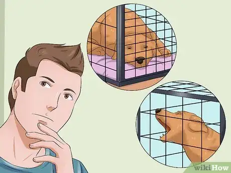 Image titled Prevent a Dog from Defecating in its Crate Step 10