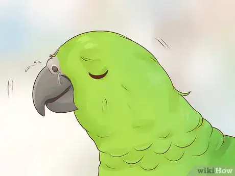 Image titled Spot Vitamin A Deficiency in an Amazon Parrot Step 1