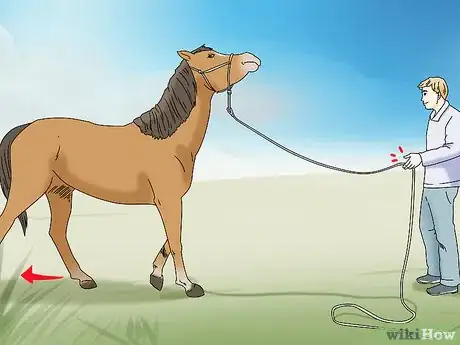 Image titled Teach Your Horse to Back up from the Ground Step 5