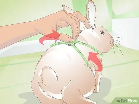 Image titled Make Your Rabbit a Leash Step 5