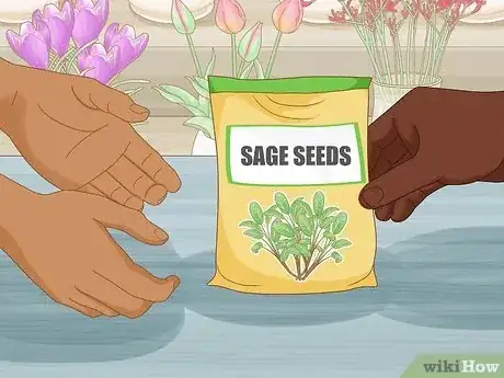 Image titled Grow Sage Step 1