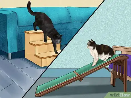 Image titled Catify Your Home for a Senior Cat Step 4