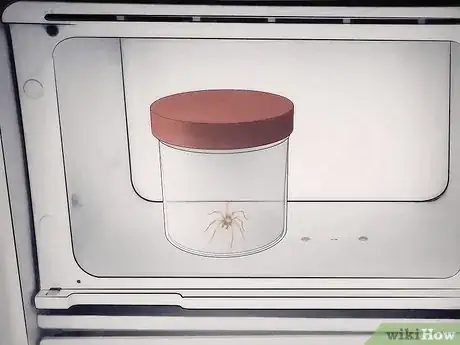 Image titled Kill Spiders when You Have Arachnophobia Step 4