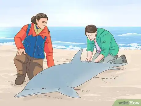 Image titled Save a Stranded Dolphin Step 16