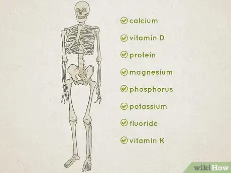 Image titled Understand the Human Skeletal System Step 12