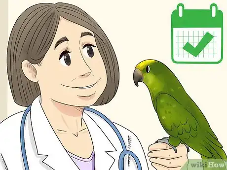 Image titled Treat Tumors in Amazon Parrots Step 5