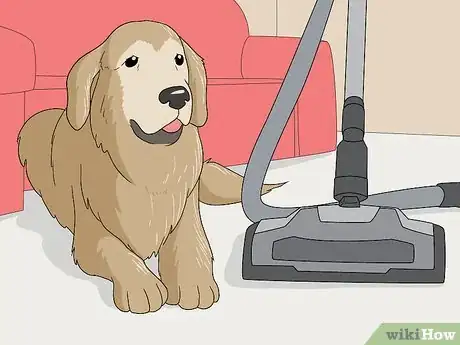 Image titled Vacuum Your Dog Step 2