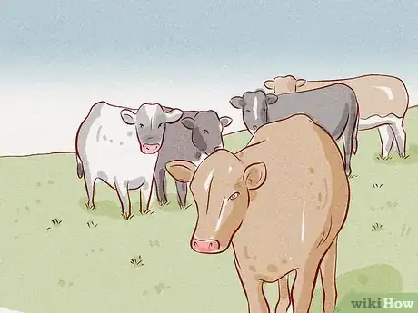 Image titled Herd Cattle Step 17