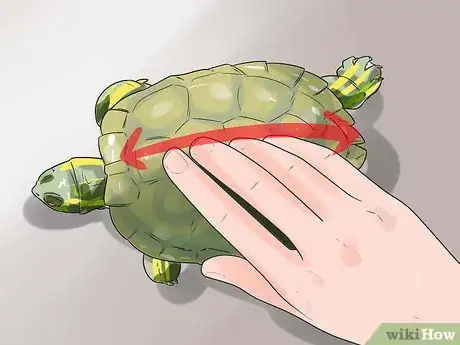 Image titled Pet a Turtle Step 6