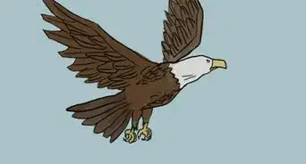 Draw an Eagle