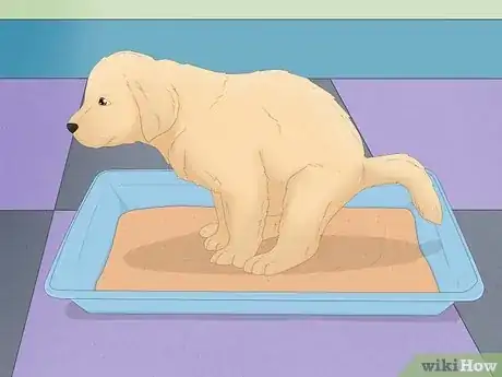 Image titled Take Care of Your Pet Step 14
