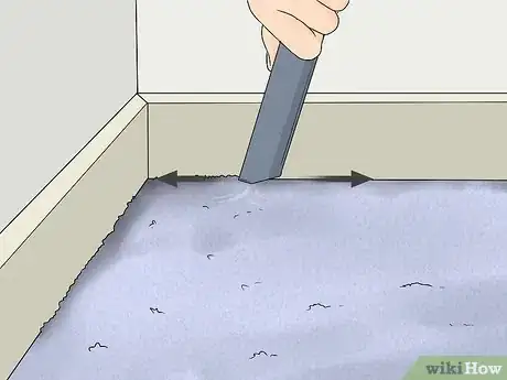 Image titled Clean Carpet Edges Step 2