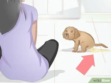 Image titled Safely Formula Feed Puppies Step 14