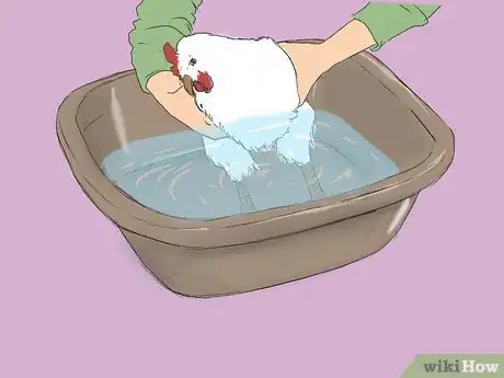 Image titled Get Rid of Chicken Mites Step 19