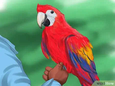 Image titled Choose a Parrot Step 3